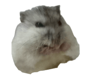 811793989