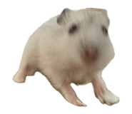 811793999