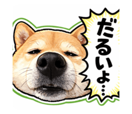 811794090