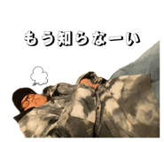 811804029