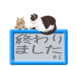 811828545
