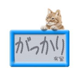 811828734