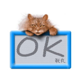 811829969
