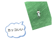 811855338