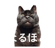 811857772