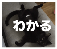 811857774