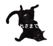 811857778