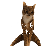 811857789
