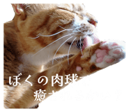 811857790