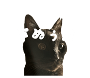 811857801