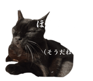 811857802