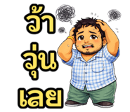 811896254