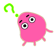 811918300