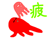 811918304