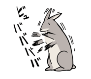 8119216