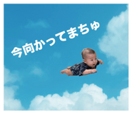 811927535