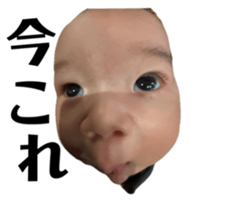 811955700