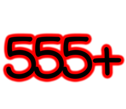 81196202