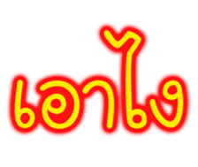 81196205