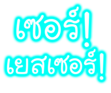 81196213
