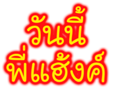 81196221