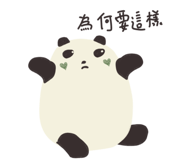 811977000