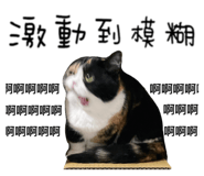 811989617