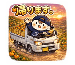 811992644