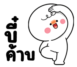 ลายที่ 13