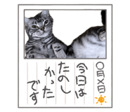 812016354