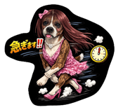 812034208