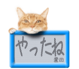 812117538