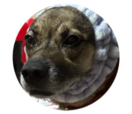 812120576
