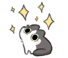 ลายที่ 3