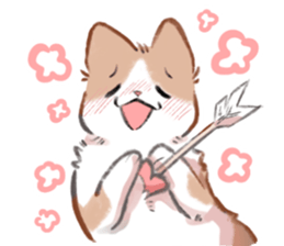 ลายที่ 7