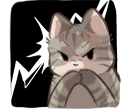 ลายที่ 23