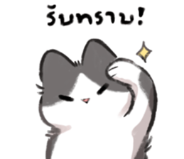 ลายที่ 25