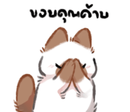 ลายที่ 27