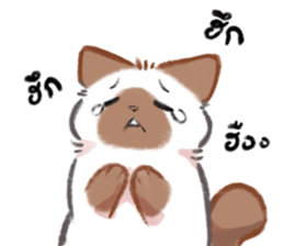 ลายที่ 29