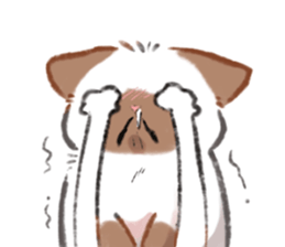 ลายที่ 31