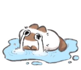 ลายที่ 33