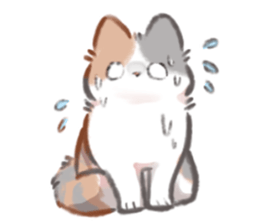 ลายที่ 35