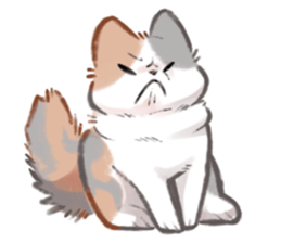 ลายที่ 37