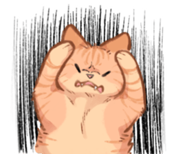 ลายที่ 43