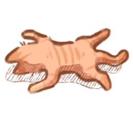 ลายที่ 47