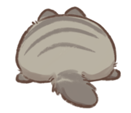 ลายที่ 51