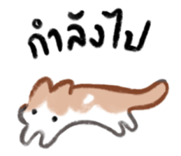 ลายที่ 53