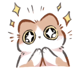 ลายที่ 55