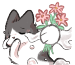 ลายที่ 63