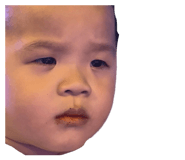 812146590